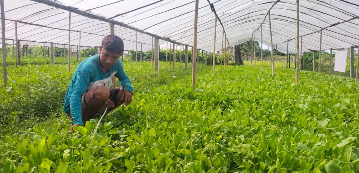 শীতকালীন সবজি চাষ হচ্ছে বর্ষায়।